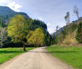 Spring green meadow and forest hills Stock Photo 07