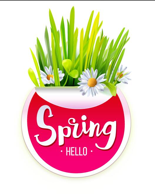 Spring sticker with grass vector