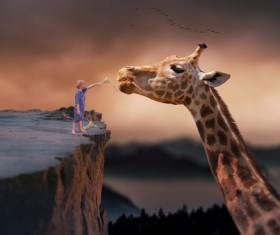 Standing on the cliff to the giraffe to feed the boy Stock Photo