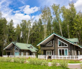 Stock Photo Forest Holiday Villas
