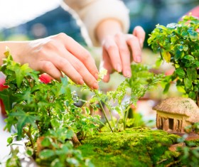Take care of plants Stock Photo
