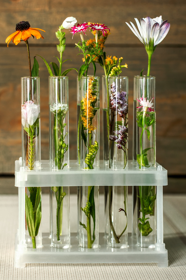 Test tube in different flowers HD picture
