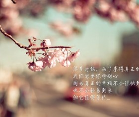 Text Photos Stock Photo