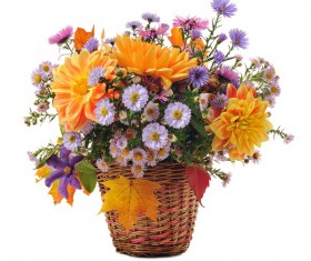 The flowers in the basket Stock Photo