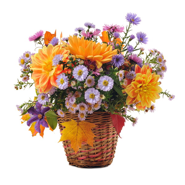 The flowers in the basket Stock Photo