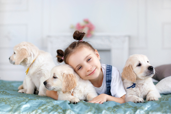 The little girl with a head pillow on a dog Stock Photo
