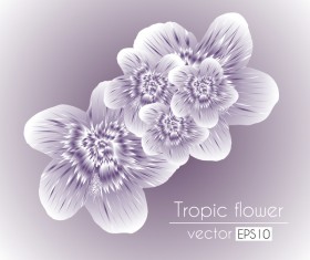 Transparent tropical flowers vector