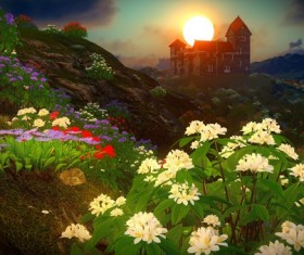 Twilight sunset after the flowers and plants Stock Photo