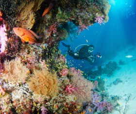Underwater shooting Stock Photo