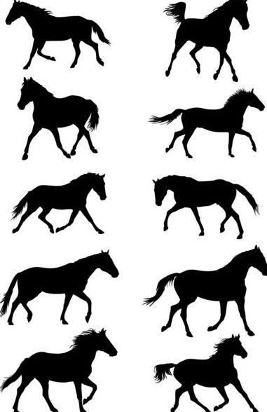 Vector horse silhouette set 01