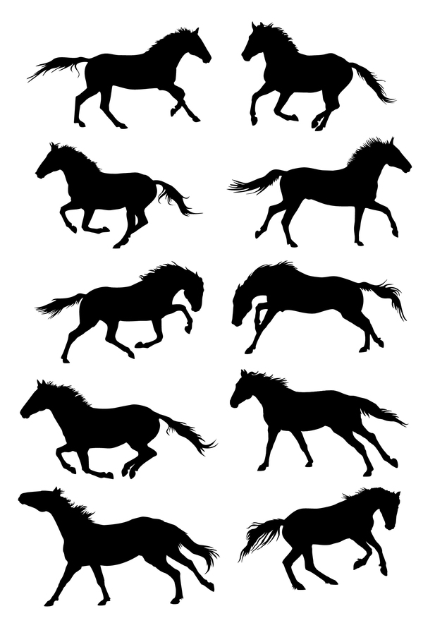 Vector horses silhouette set 03