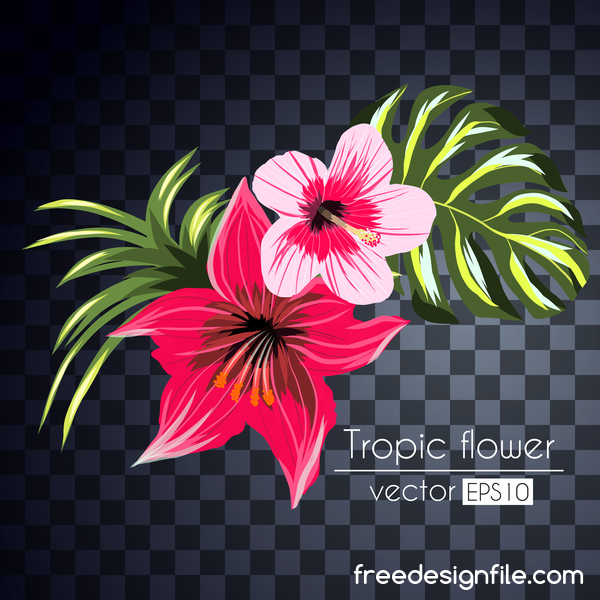 Vector tropical flowers illustration vector 08