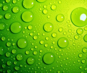 Water Drops Green Background Stock Photo