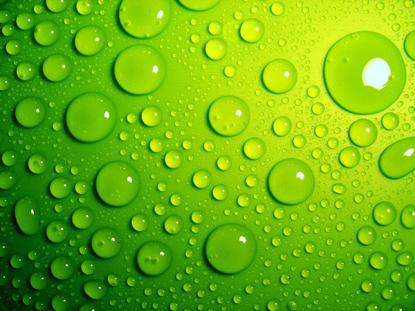 Water Drops Green Background Stock Photo