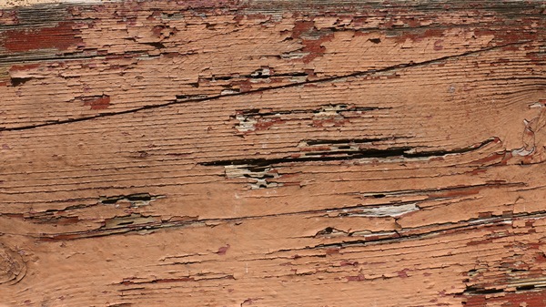 Weathered Wood Textures Stock Photo 05