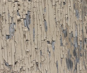 Weathered Wood Textures Stock Photo 06