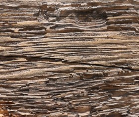 Weathered Wood Textures Stock Photo 08