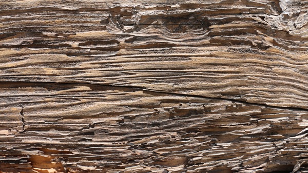 Weathered Wood Textures Stock Photo 08