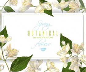 White flower frame vector