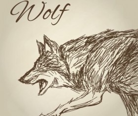 Wolf hand drawing design vector material 02
