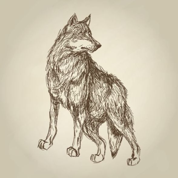 Wolf hand drawing design vector material 09 free download