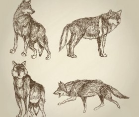 Wolf hand drawing design vector material 10