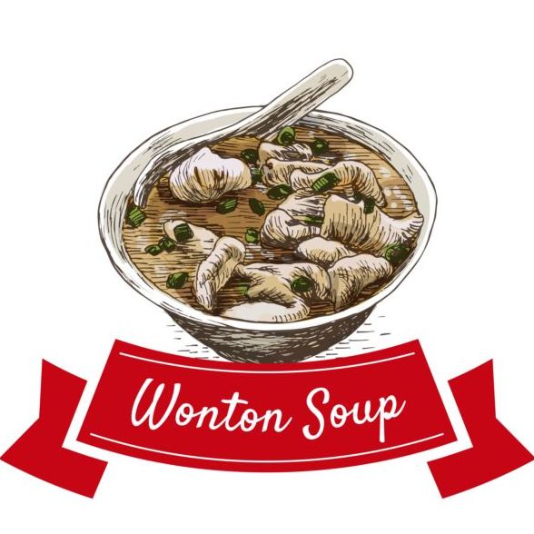 Wonton soup vector