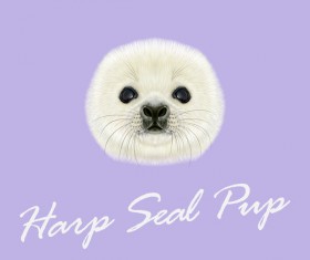 seal vector illustration 01