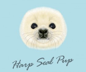 seal vector illustration 02