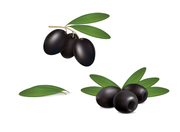 set black olives on white background vector