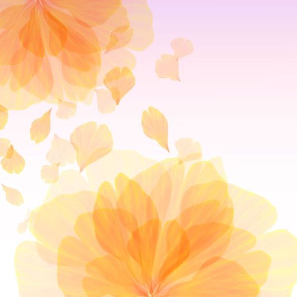transparent yellow flower with petal vector