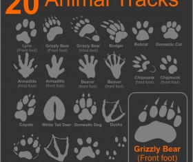 20 Kind animals tracks vector