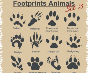 Animal footprints design set vector 01