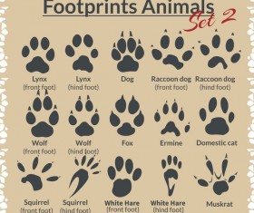 Animal footprints design set vector 03