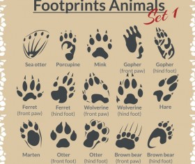 Animal footprints design set vector 04
