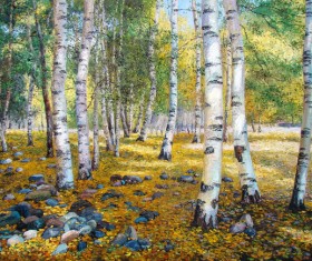 Autumn birch forest Stock Photo