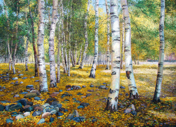 Autumn birch forest Stock Photo