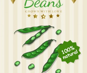 Beans poster template retro vector