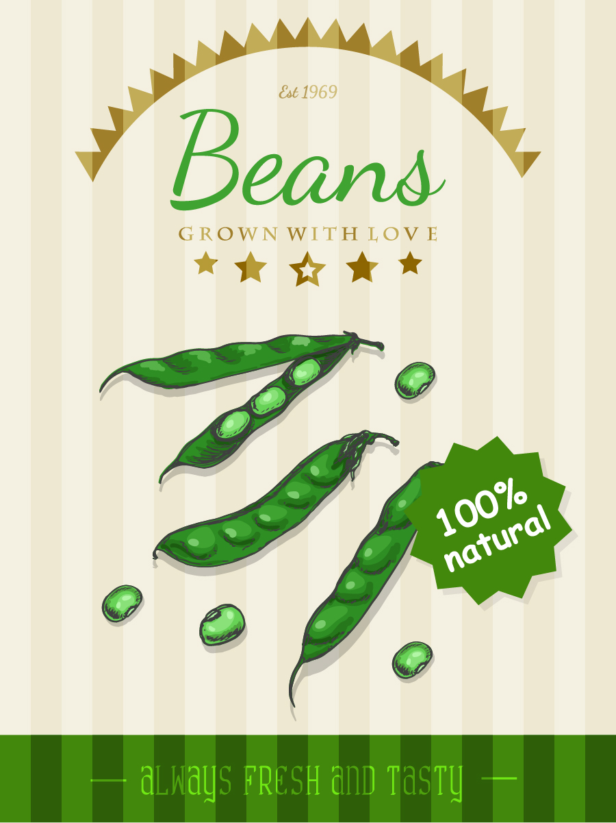 Beans poster template retro vector