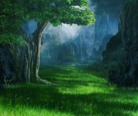 Beautiful mystery forest Stock Photo 01