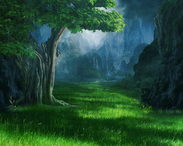 Beautiful mystery forest Stock Photo 01