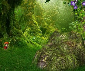 Beautiful mystery forest Stock Photo 04