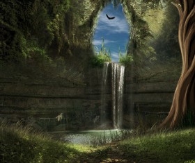 Beautiful mystery forest Stock Photo 06