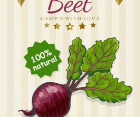 Beet poster vector