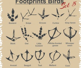 Birds footprints design set vector 01