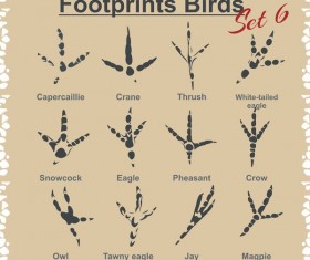 Birds footprints design set vector 02
