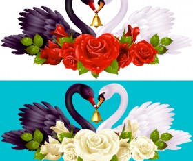 Black white swans with rose background vector 01