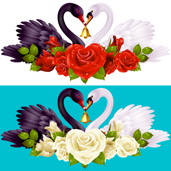 Black white swans with rose background vector 01