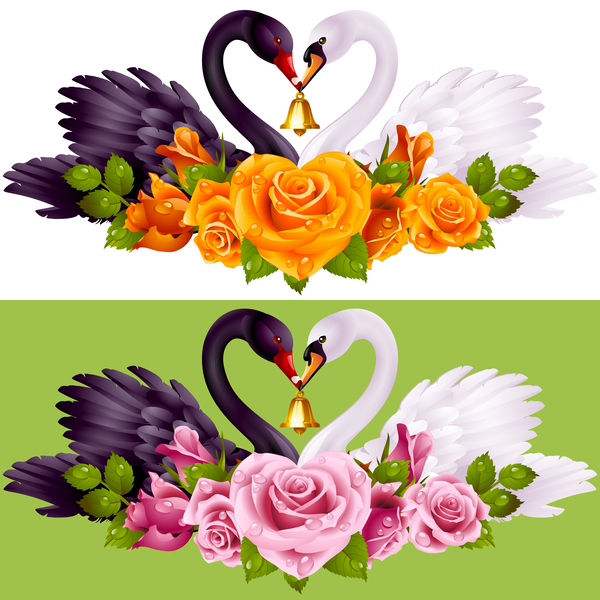 Black white swans with rose background vector 02