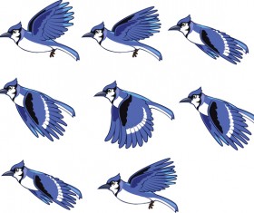 Blue birds illustration vector